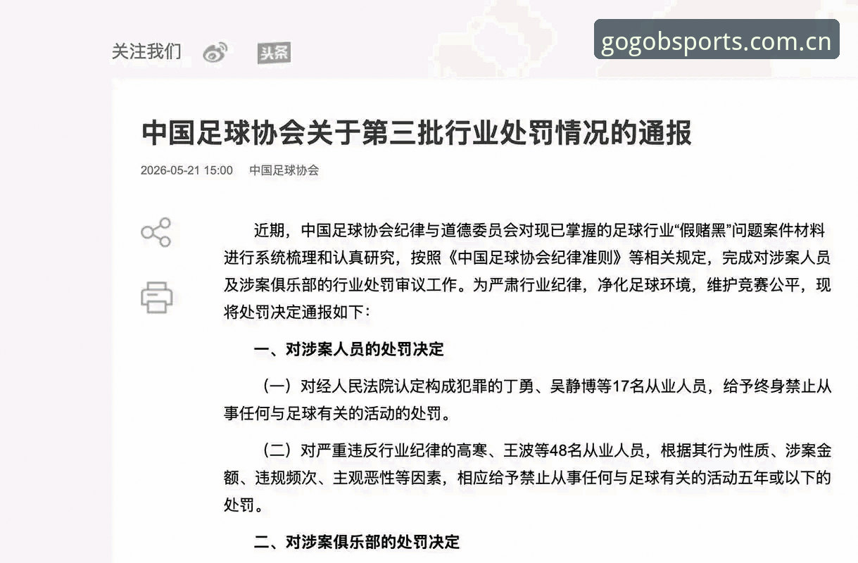 足协第三批禁足名单深度解读：了解足球行业纪律整顿的实用指南